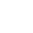 Vector icon